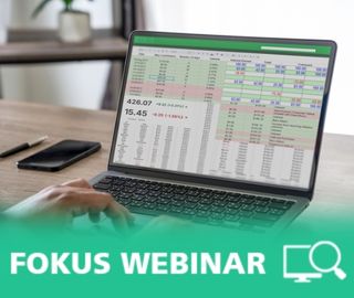 Business Intelligence mit Power Pivot