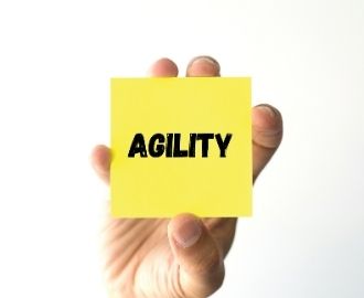 Agile Organisationsentwicklung