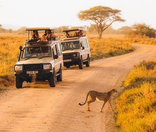 Die Leadership Safari
